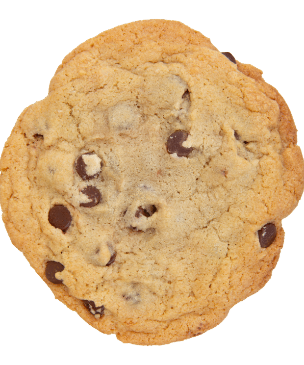 Giant Chocolate Chip Cookie