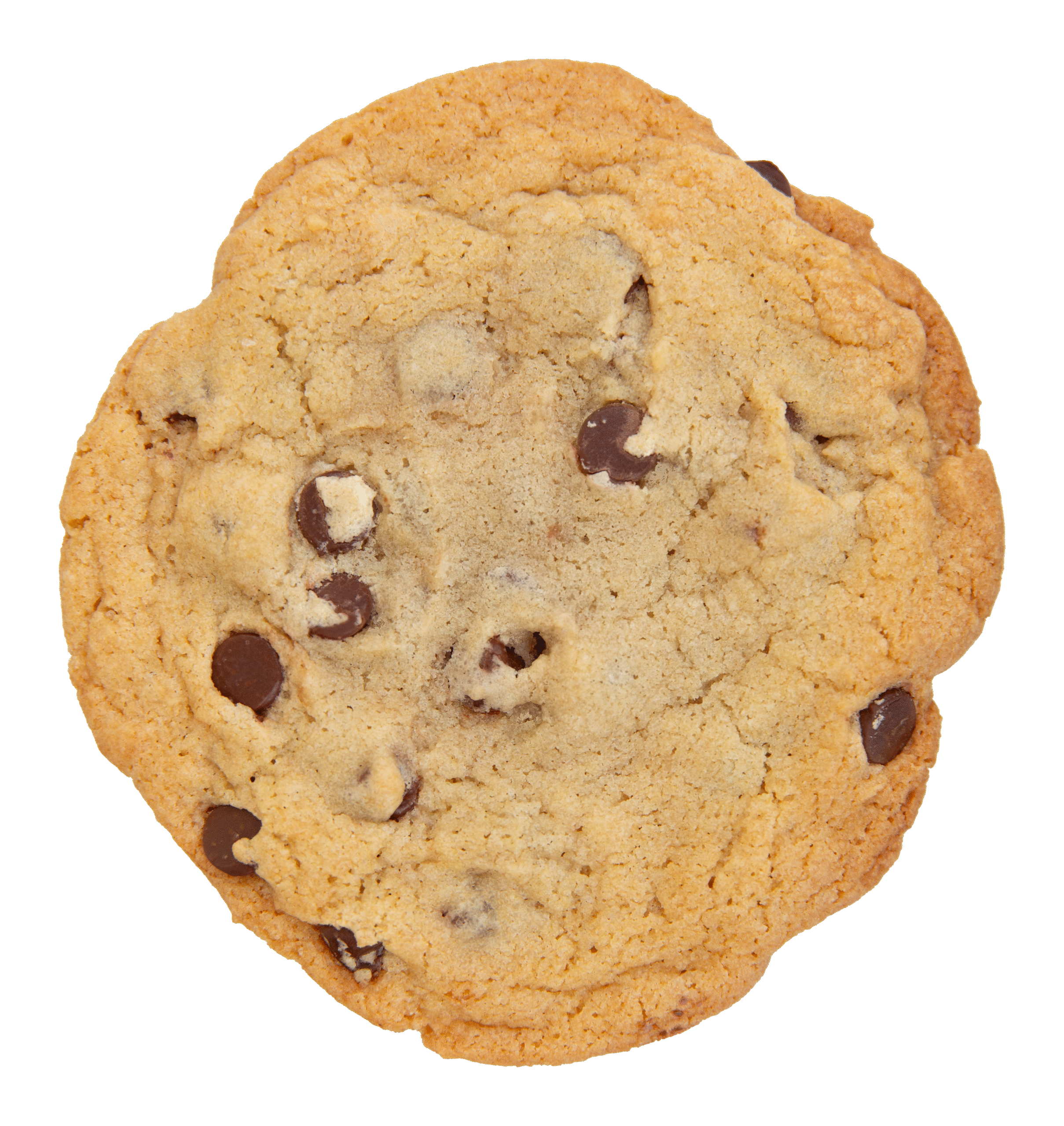 Giant Chocolate Chip Cookie