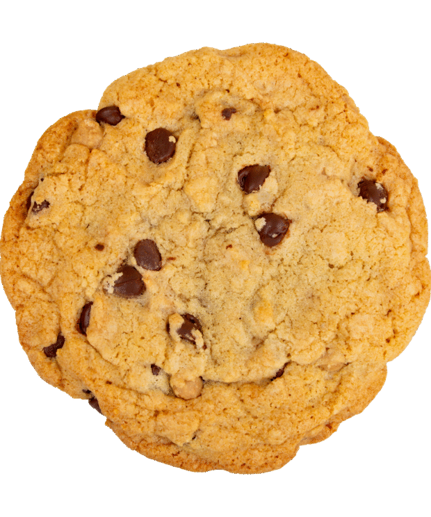 Giant Peanut Butter Chocolate Chip Cookie